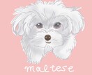 写真を元にペットイラスト作成します みなさまのお家のかわいいペットの記念になるお手伝いいたします イメージ6