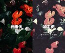 写真等の画像の雰囲気を変えます お持ちの写真にオリジナルのニュアンスが加わります イメージ2