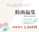 動画制作承ります あなたの心に刻む動画を作成します イメージ1