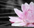 大好きなあの人との恋の行方を占います 【7年の片思いでも成就】辛い片思いの気持ちから解放します イメージ8
