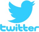 Twitterフォロワー500人増やします 貴方のファンとなるフォロワーを獲得します！ イメージ1