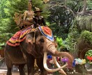 タイ語を楽しく学ぼう！会話レッスンします ネイティブと一緒に！日常からビジネスまでを提供します。 イメージ5