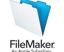 FileMakerでデータベースシステムを作ります 簡単操作のデータベースシステムが必要なかたへ イメージ1