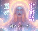 宇宙語×霊感でペットの気持ちをお伝えします 不安・体調・あなたへの思いをやさしくチャネリング イメージ6