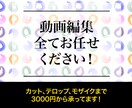 まずはお試し!動画編集いたします YouTube等の動画編集します! イメージ1