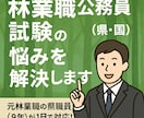 林業職公務員試験（県・国）の悩みを解決します 元林業職の県職員（9年）が1日で対応！ イメージ1
