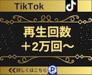 TikTokの再生回数2万回増やします 【実績3150件以上】TikTok再生回数増加／減少保証有り イメージ1