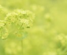 恋愛相談 辛い恋のお悩み解決します あなたの心に寄り添い希望ある未来へ導きます。 イメージ4