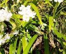 テキストチャットでカウンセリング致します 引き寄せの法則のコツを丁寧にマンツーマンレッスンします イメージ3
