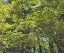 誰にも言えない気持ちを話せる場所を用意してます 否定せず、あなたの気持ちに寄り添いながらお話をお聞きします イメージ1