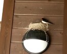 色々な日常がここにあります 切り取った日常が素晴らしいことも イメージ8