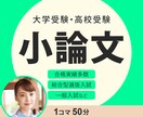 大学受験指導歴26年トップ講師が小論文添削します ３回添削/小論文・志望理由書などを合格ラインに仕上げます！ イメージ1