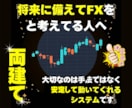 両建てFXでトレードする方法を教えます FXで信頼できる両建てシステムで500回検証の必殺奥義公開 イメージ1
