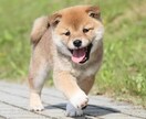 愚痴　恋愛相談　人生相談何でも相談乗ります 私の経験談などを活かしアドバイスします！ イメージ1