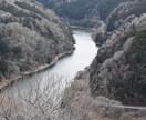 写真素材を提供します 自然派写真を撮影して提供します。 イメージ2