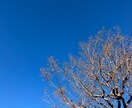 1分からOK！気分変調性障害当事者が寄り添います 症状/うつ病との違い/双極性障害との違い/悩み/不安 イメージ4