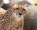かっこいいサムネなど作ります お客様からいただいた画像加工します動画のサムネなどにどうぞ イメージ1