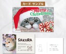 OPEN価格★うちのコが主役♪各種カード作成します ペットも自己紹介する時代！広がる繋がる笑顔になる♪ イメージ3