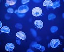 お話します だれとでもお話します。お気軽にどうぞ！ イメージ1