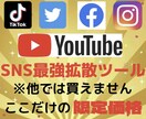 Youtube収益化ツールを提供します SNS拡散サービスの手法をすべて公開します イメージ1