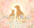 大切なペットの気持ちと伝えたいことを霊視します 言葉にできない想いを受け取り、もっと深く通い合うために イメージ1