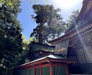 いつも清く健やかな暮らし、関係性に導きます 生き生きと暮らせるをご提案するタロットリーディング占い イメージ3