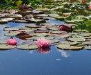 占い師とおしゃべり♪言葉を「離す」と楽になります 言葉を話す？離す？放す？エンジェルカードと占い師とおしゃべり イメージ8