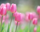 自分から見たら【大きな悩み事】に心から寄り添います 人から見たら大したことなくても悩んでることってありますよね… イメージ6