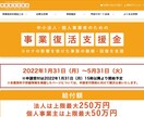 事業復活支援金！行政書士が事前確認します 実績300件以上！平日18時半以降、土日祝OK！ イメージ2