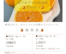農家さん向け！直売所・マルシェ用チラシ作ります 見やすい農業チラシを丁寧に制作します。インスタにも使えます。 イメージ1
