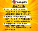 インスタに日本人フォロワーを100人拡散します 先着20名までの限定価格/補填あり/初回購入特典あり イメージ8