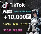 TikTokの再生数＋１万回 増加させます 減少保障・いいね、保存、共有オプション有・10万回以上OK イメージ9