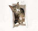 ペット・うちの子｜写真からイラストを描きます 大好きな"うちの子"との思い出を、イラストに イメージ2