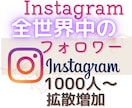 Instagramの世界中のフォロワーを増やします 全世界のリアルユーザーへアプローチ！フォロワー1000人増加 イメージ1