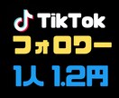TikTokのフォロワーを1200人から増やします 【減少補償付き】1人1.2円！どこよりも安く提供します！ イメージ1