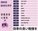 神経系解剖生理学をわかりやすく解説します 全国模試3位の私が、神経系解剖生理学をわかりやすく解説！ イメージ5