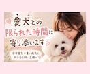 愛犬との限られた時間に寄り添います 残された大切な時間のお気持ちに寄り添います イメージ1
