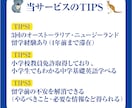 初心者向け中学基礎英語を脳に定着させます ワーホリ、留学で不安な方も大歓迎！安心を与えサポートします イメージ2