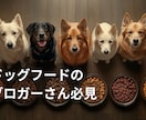ブログを魅力的に彩る高品質な画像を提供します 共感と購入意欲を引き出すリアルな画像 イメージ1