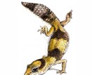 あなたの相棒を描きます 類は関係無し！あなたの家族を絵に残しませんか？ イメージ1