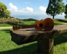 ４回でウクレレ弾き語りご希望の曲をレッスンします ４回のレッスンで人前で自信をもって弾き語れる練習をします。 イメージ6