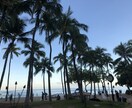 トラベラーが海外旅行の相談に乗ります 海外旅行お任せください！トラベラーが相談にのります！ イメージ2