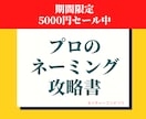 プロが監修したネーミングを50案ご提案します 様々な角度から！プロ監修のネーミングでアイデアがザクザク！ イメージ1