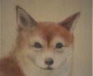 お写真を基にしたパステル画です。ます 可愛いペットや大切な方を絵にしてみませんか？ イメージ2