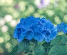 中学受験国語読解、大学受験英語相談します 勉強方法、受験校、学校、家族、友人関係のコーチング講座です。 イメージ1