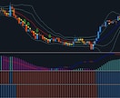 事前マニュアル公開　TYストラテジー2023極ます バイナリーオプション、FXの高性能ツール イメージ12