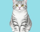 大切なペットの似顔絵お描きします ペット似顔絵を可愛い色鉛筆調でお描きします イメージ3