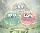 楽天・Amazon商品画像７枚作成ます 売れる構成で楽天・Amazon商品ページ用画像を制作します。 イメージ7