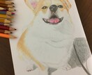 あなたの大切なモノ、ヒトなどを丁寧に描きます 世界に1枚の作品をご提供！原画をプレゼントします！ イメージ8