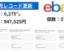 eBayビギナー必見！5大悩み解決サポートします eBay初挑戦を全力サポート！ビギナー応援サポート イメージ5